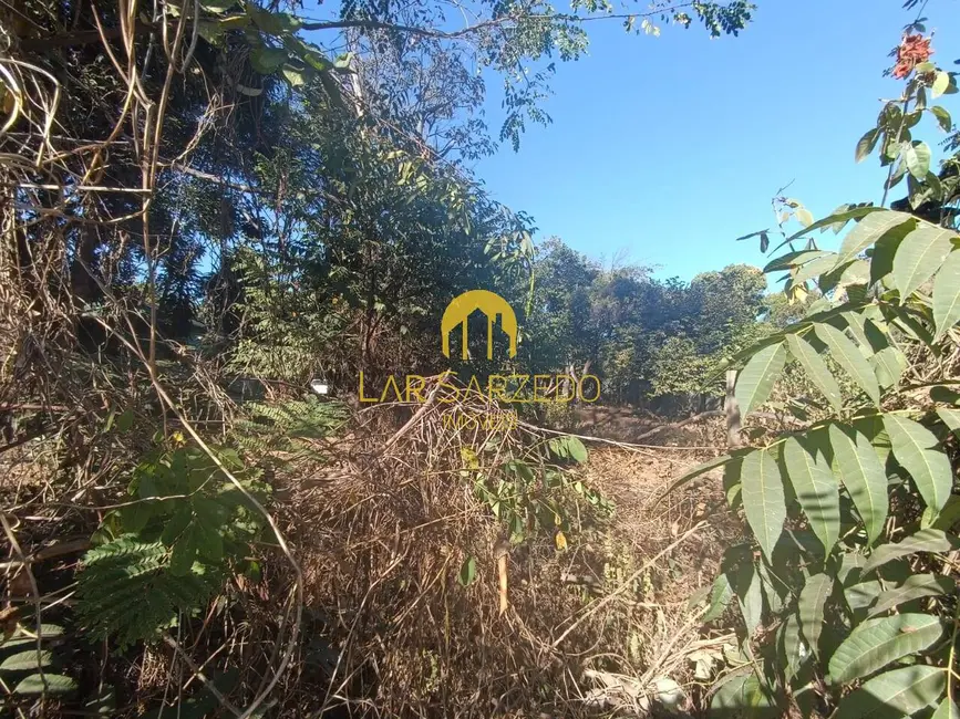 Foto 7 de Chácara com 3 quartos à venda, 4470m2 em Sarzedo - MG