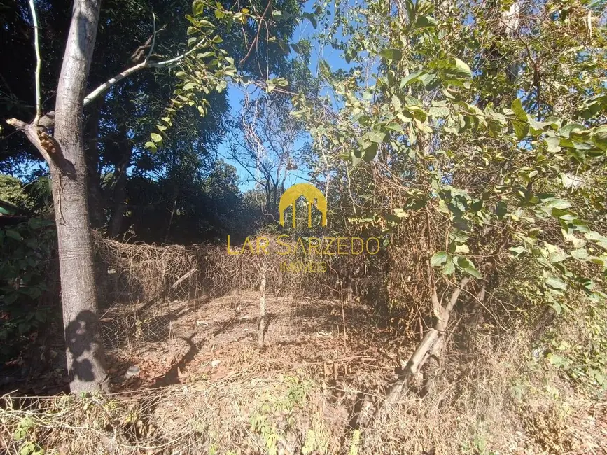 Foto 5 de Chácara com 3 quartos à venda, 4470m2 em Sarzedo - MG