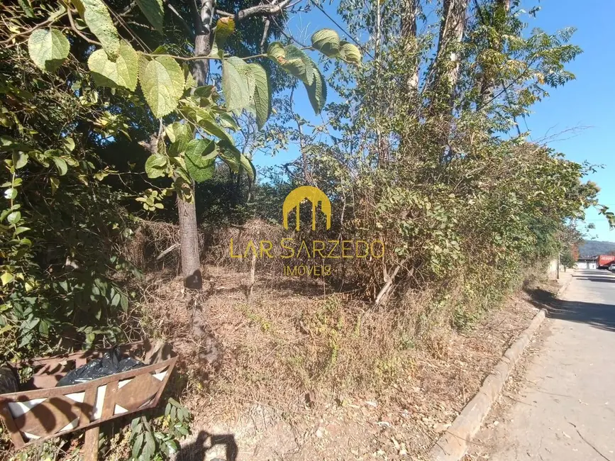 Foto 4 de Chácara com 3 quartos à venda, 4470m2 em Sarzedo - MG