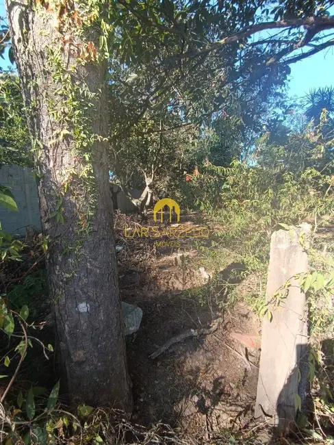 Foto 3 de Chácara com 3 quartos à venda, 4470m2 em Sarzedo - MG