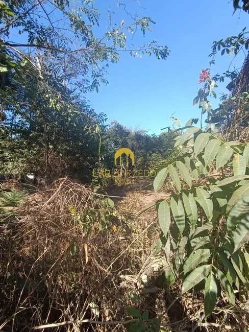 Foto 6 de Chácara com 3 quartos à venda, 4470m2 em Sarzedo - MG