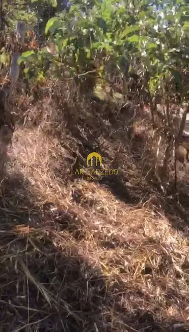 Chácara à venda, 2000m2 em Brumadinho - MG - imagem 7 Foto 7 de Chácara à venda, 2000m2 em Brumadinho - MG