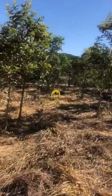 Foto 2 de Chácara à venda, 2000m2 em Brumadinho - MG