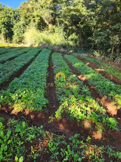 Foto 6 de Terreno / Lote à venda, 4282m2 em Mario Campos - MG