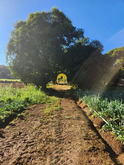 Foto 5 de Terreno / Lote à venda, 4282m2 em Mario Campos - MG