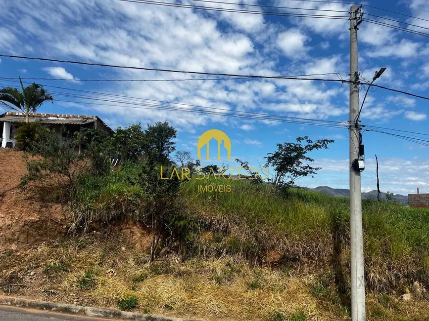 Foto 2 de Chácara à venda, 300m2 em Sarzedo - MG