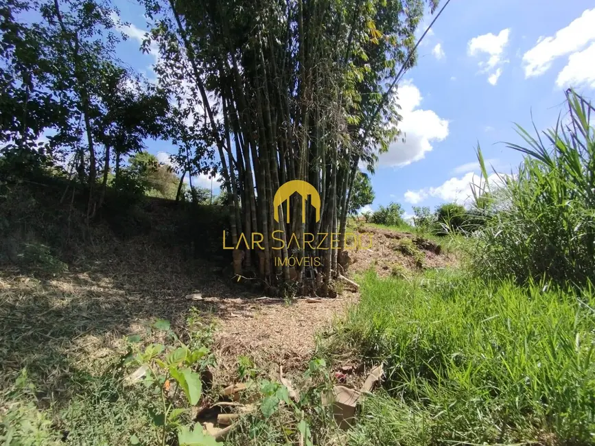 Foto 14 de Chácara à venda em Bonfim - MG