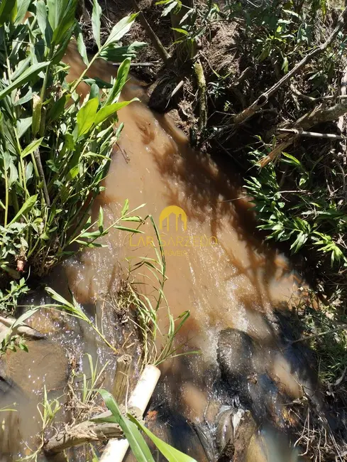 Chácara à venda em Bonfim - MG - imagem 4 Foto 4 de Chácara à venda em Bonfim - MG