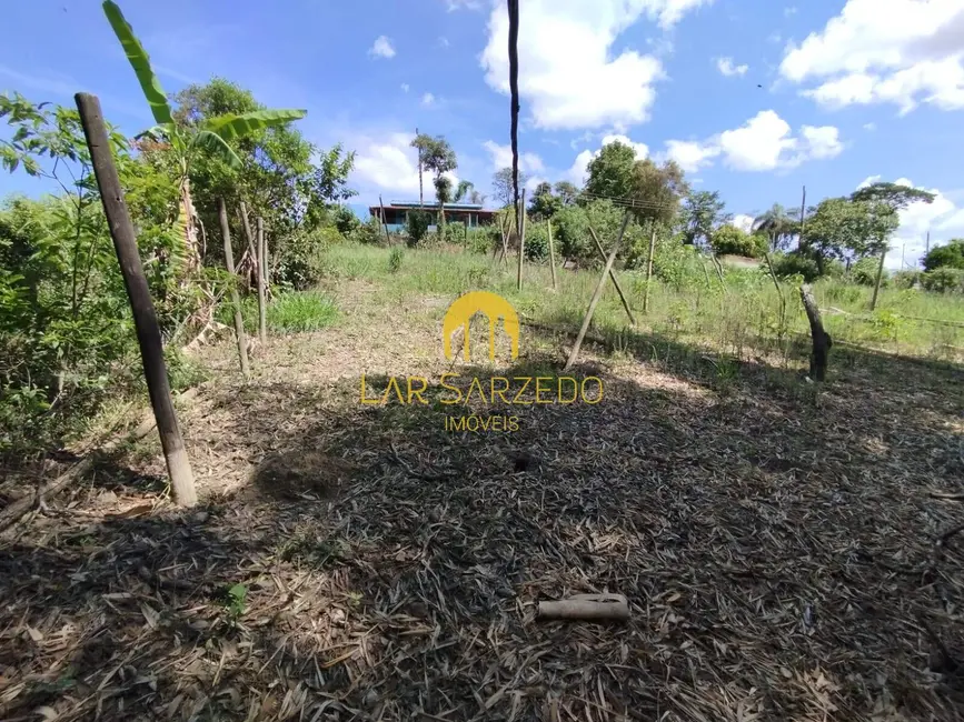Foto 15 de Chácara à venda em Bonfim - MG