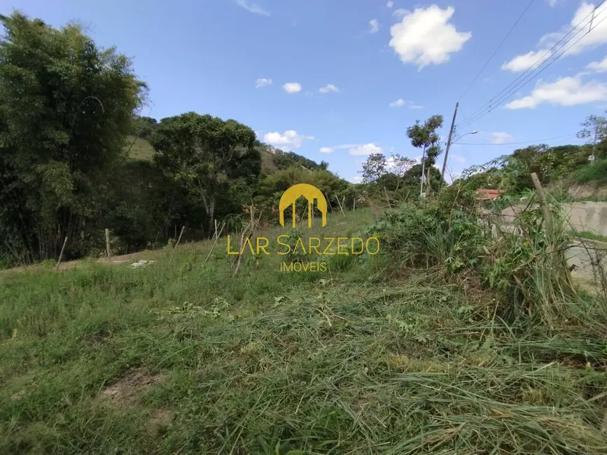 Foto 19 de Chácara à venda em Bonfim - MG