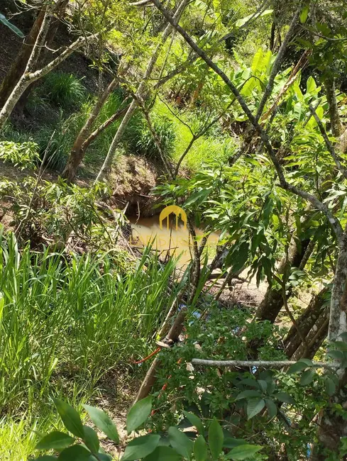 Foto 10 de Chácara à venda em Bonfim - MG