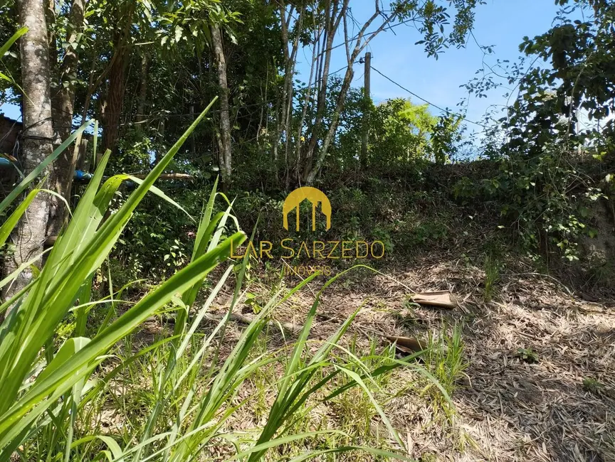 Chácara à venda em Bonfim - MG - imagem 9 Foto 9 de Chácara à venda em Bonfim - MG