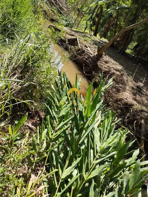 Chácara à venda em Bonfim - MG - imagem 6 Foto 6 de Chácara à venda em Bonfim - MG