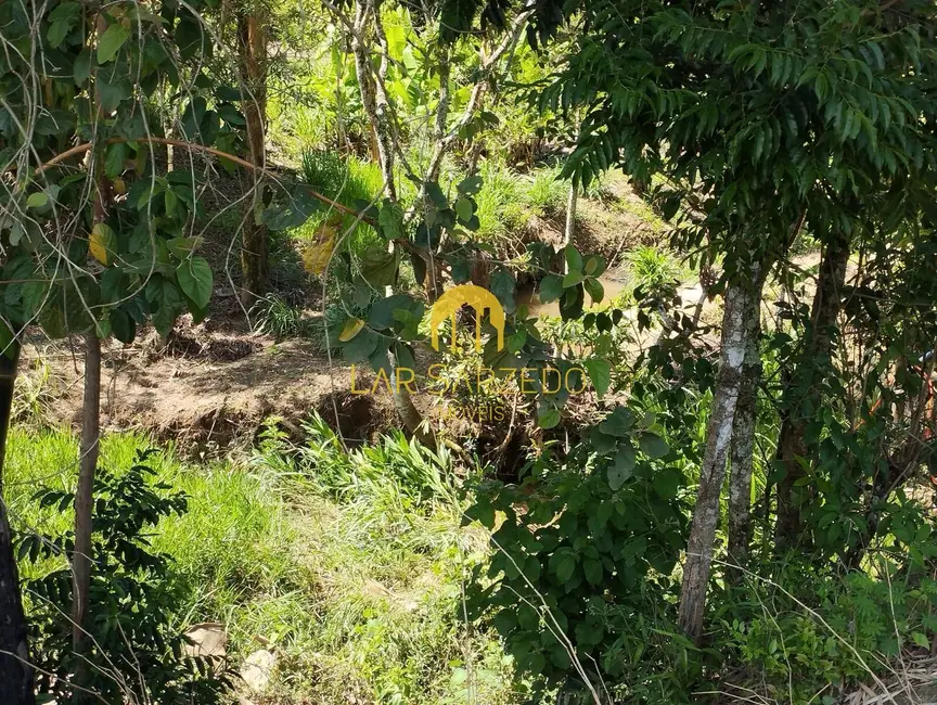 Foto 12 de Chácara à venda em Bonfim - MG