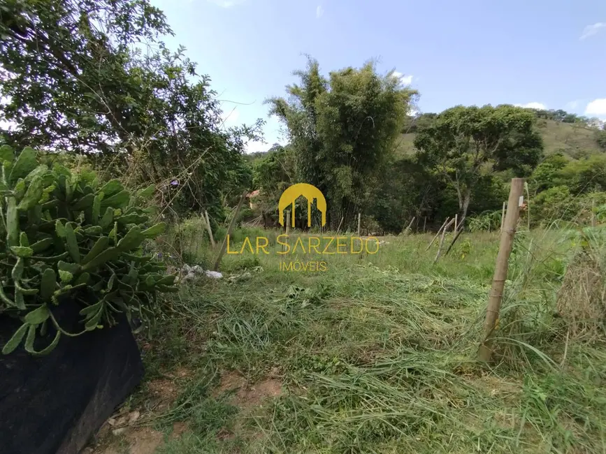 Foto 21 de Chácara à venda em Bonfim - MG