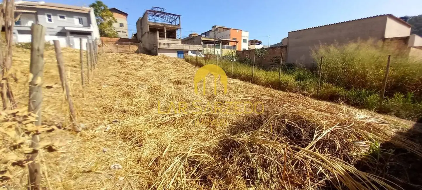 Foto 3 de Chácara à venda, 250m2 em Sarzedo - MG