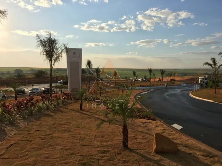 Foto 1 de Terreno / Lote à venda, 233m2 em Ribeirao Preto - SP