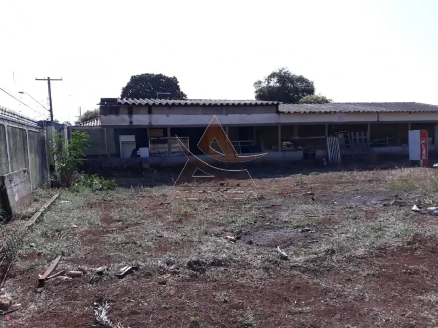 Foto 4 de Terreno / Lote com 1 quarto à venda, 3500m2 em Jardim Jandaia, Ribeirao Preto - SP