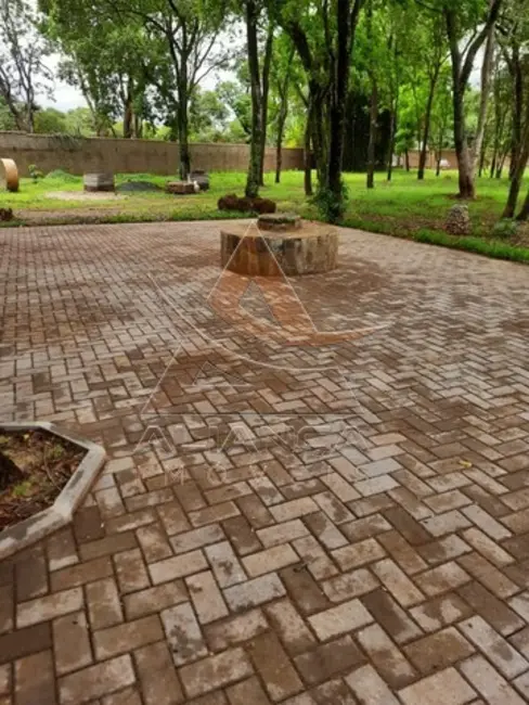 Foto 8 de Chácara com 1 quarto à venda, 5000m2 em Ribeirao Preto - SP