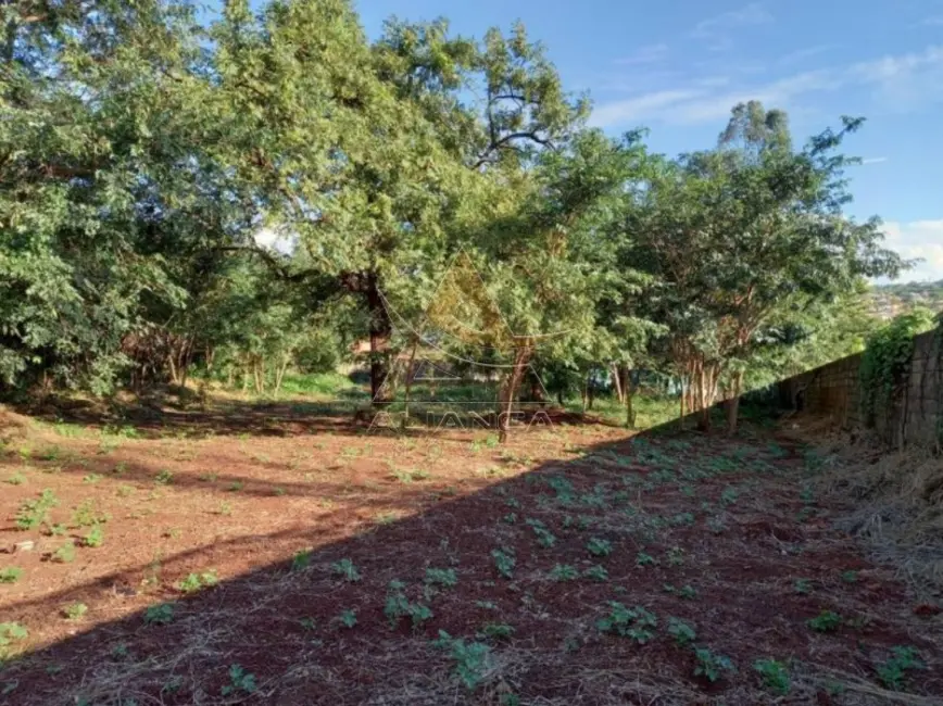 Foto 4 de Terreno / Lote para alugar, 3000m2 em Ribeirânia, Ribeirao Preto - SP