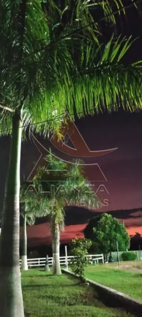 Chácara com 4 quartos à venda, 5500m2 em Santa Rosa De Viterbo - SP - imagem 8 Foto 8 de Chácara com 4 quartos à venda, 5500m2 em Santa Rosa De Viterbo - SP