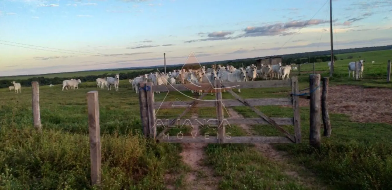 Foto 6 de Fazenda / Haras com 6 quartos à venda, 16777215m2 em Guarai - TO