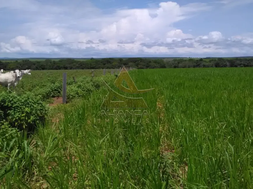 Foto 1 de Fazenda / Haras com 6 quartos à venda, 16777215m2 em Guarai - TO
