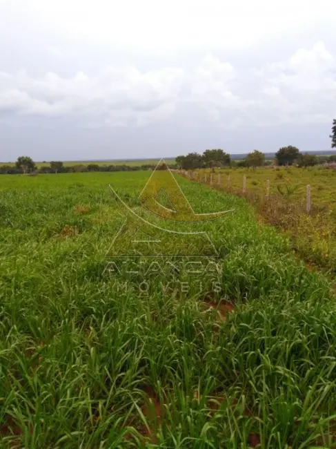 Foto 4 de Fazenda / Haras com 6 quartos à venda, 16777215m2 em Guarai - TO