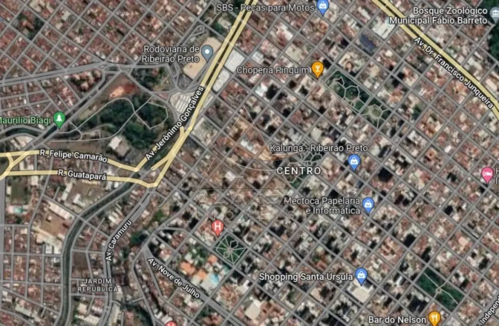 Terreno / Lote à venda, 900m2 em Centro, Ribeirao Preto - SP - imagem 3 Foto 3 de Terreno / Lote à venda, 900m2 em Centro, Ribeirao Preto - SP