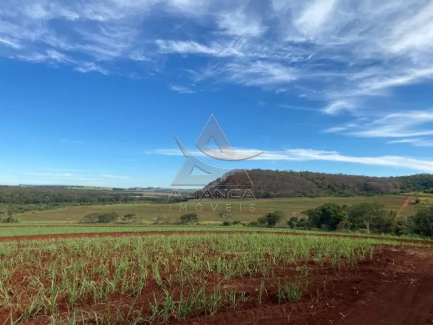 Foto 4 de Fazenda / Haras com 1 quarto à venda, 1747966m2 em Ibate - SP