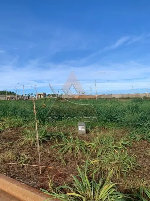 Foto 3 de Terreno / Lote à venda, 250m2 em Recreio Anhangüera, Ribeirao Preto - SP