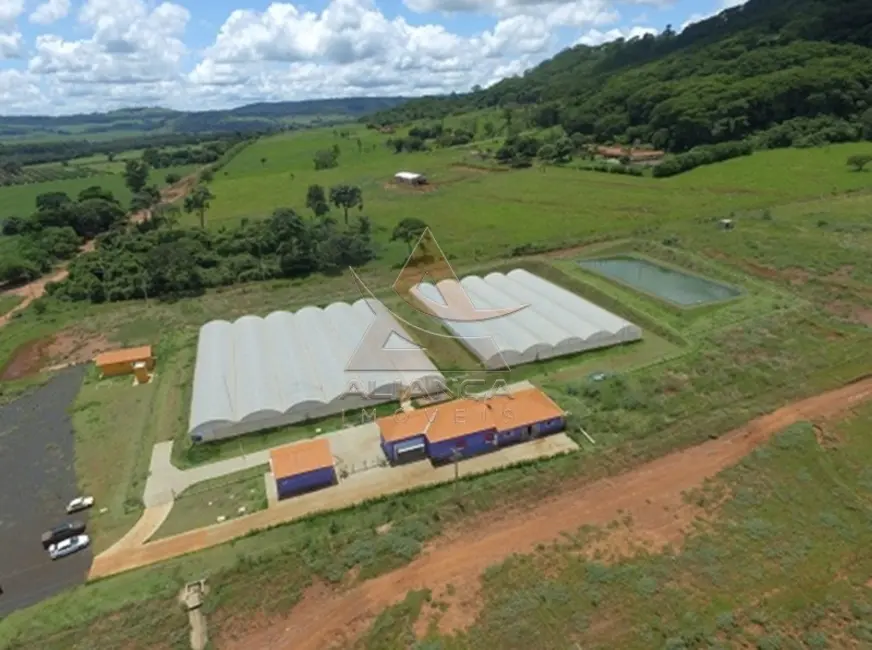 Foto 1 de Fazenda / Haras com 5 quartos à venda, 130000m2 em Sao Simao - SP