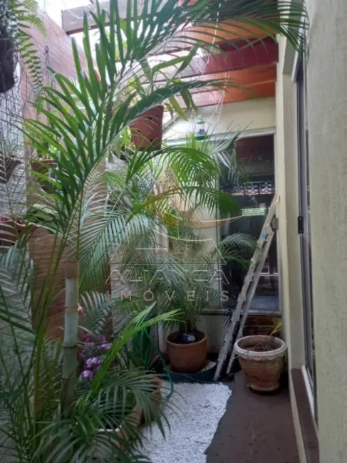 Casa com 4 quartos à venda, 164m2 em Jardim Anhangüera, Ribeirao Preto - SP - imagem 4 Foto 4 de Casa com 4 quartos à venda, 164m2 em Jardim Anhangüera, Ribeirao Preto - SP