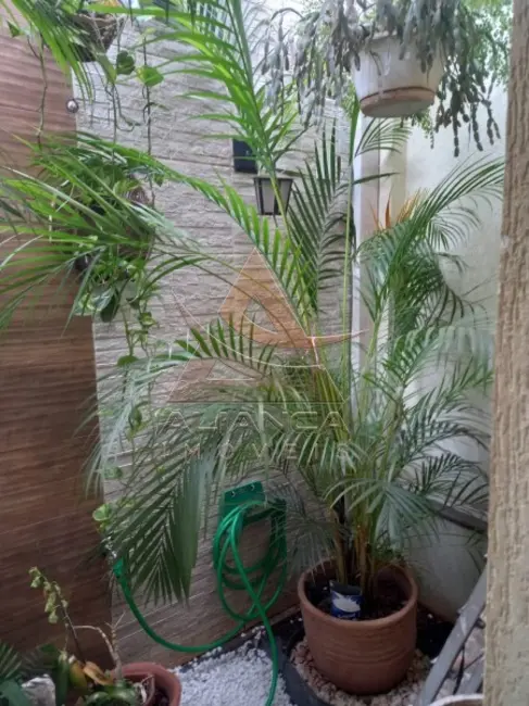 Casa com 4 quartos à venda, 164m2 em Jardim Anhangüera, Ribeirao Preto - SP - imagem 5 Foto 5 de Casa com 4 quartos à venda, 164m2 em Jardim Anhangüera, Ribeirao Preto - SP