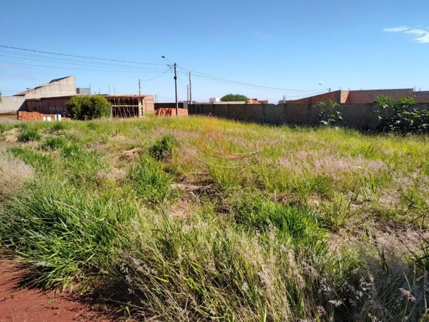 Foto 1 de Terreno / Lote à venda, 285m2 em Brodowski - SP