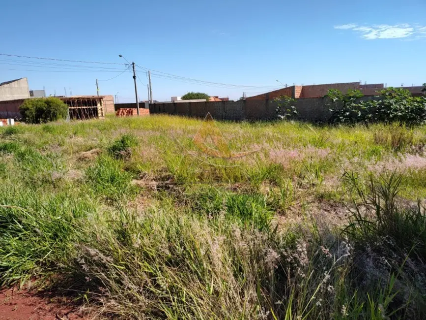 Foto 3 de Terreno / Lote à venda, 285m2 em Brodowski - SP