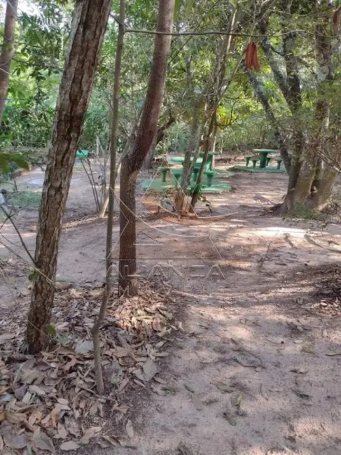 Foto 7 de Fazenda / Haras com 4 quartos à venda, 108900m2 em Pedregulho - SP