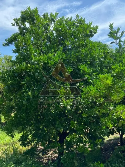 Fazenda / Haras com 4 quartos à venda, 2500000m2 em Patrocinio Paulista - SP - imagem 9 Foto 9 de Fazenda / Haras com 4 quartos à venda, 2500000m2 em Patrocinio Paulista - SP