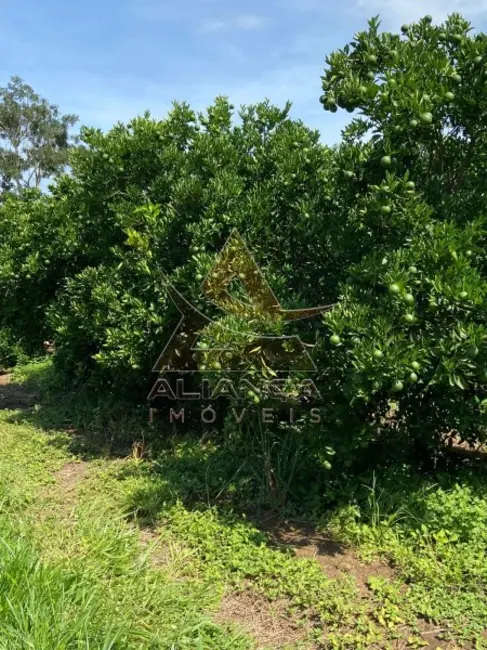 Fazenda / Haras com 4 quartos à venda, 2500000m2 em Patrocinio Paulista - SP - imagem 2 Foto 2 de Fazenda / Haras com 4 quartos à venda, 2500000m2 em Patrocinio Paulista - SP