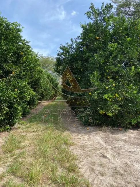 Fazenda / Haras com 4 quartos à venda, 2500000m2 em Patrocinio Paulista - SP - imagem 7 Foto 7 de Fazenda / Haras com 4 quartos à venda, 2500000m2 em Patrocinio Paulista - SP