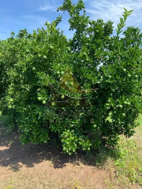 Fazenda / Haras com 4 quartos à venda, 2500000m2 em Patrocinio Paulista - SP - imagem 3 Foto 3 de Fazenda / Haras com 4 quartos à venda, 2500000m2 em Patrocinio Paulista - SP