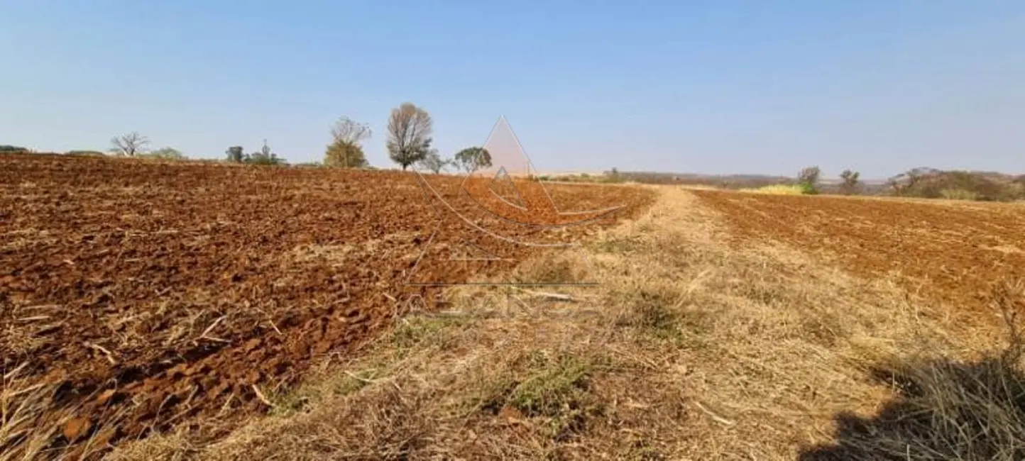 Foto 9 de Terreno / Lote à venda, 78704m2 em Brodowski - SP