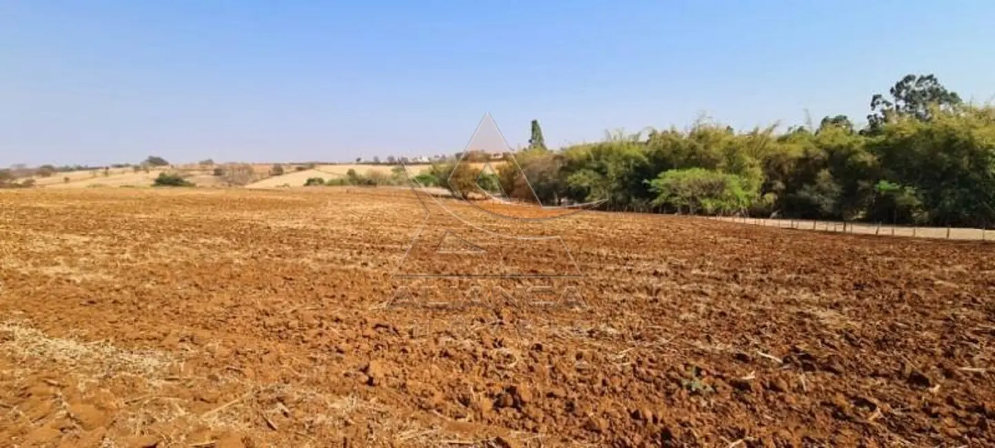 Foto 6 de Terreno / Lote à venda, 78704m2 em Brodowski - SP