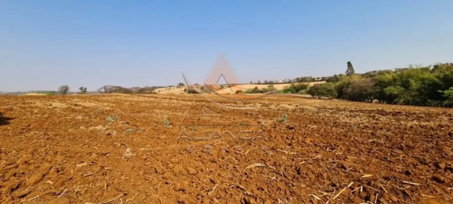 Foto 8 de Terreno / Lote à venda, 78704m2 em Brodowski - SP