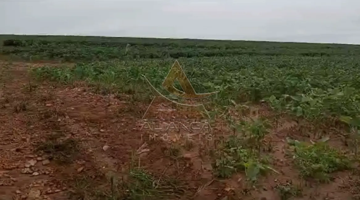 Foto 2 de Fazenda / Haras com 1 quarto à venda, 2492600m2 em Casa Branca - SP