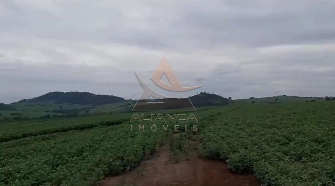 Foto 5 de Fazenda / Haras com 1 quarto à venda, 2492600m2 em Casa Branca - SP