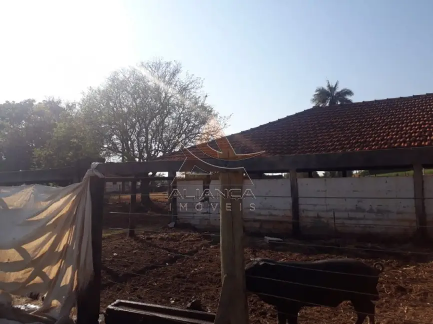 Foto 9 de Fazenda / Haras com 4 quartos à venda, 2147750m2 em Cajuru - SP