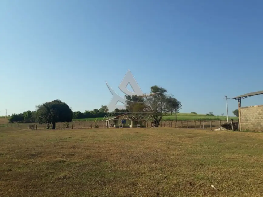 Foto 1 de Fazenda / Haras com 4 quartos à venda, 2147750m2 em Cajuru - SP