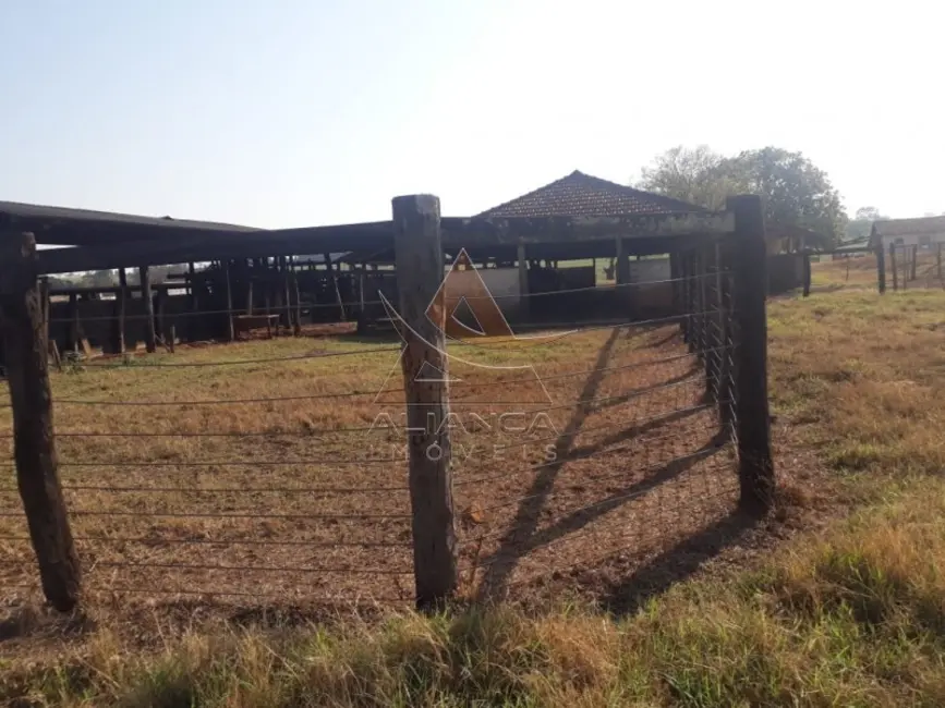 Foto 6 de Fazenda / Haras com 4 quartos à venda, 2147750m2 em Cajuru - SP