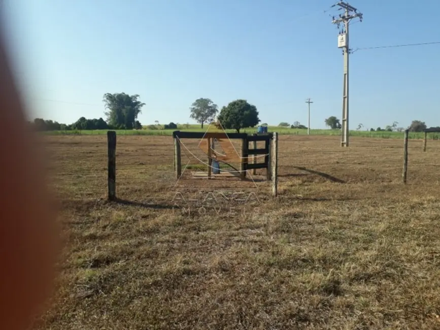 Foto 7 de Fazenda / Haras com 4 quartos à venda, 2147750m2 em Cajuru - SP
